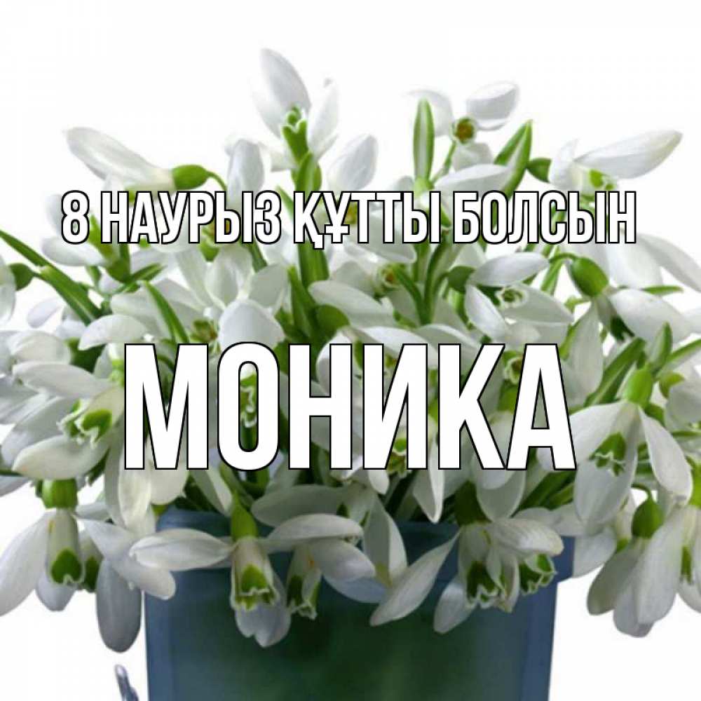 Күн сайын ашық хат с именем, Моника 8 наурыз құтты болсын цветы к международному женскому дню Онлайн тегін жүктеп алу тілектері бар керемет карта 
