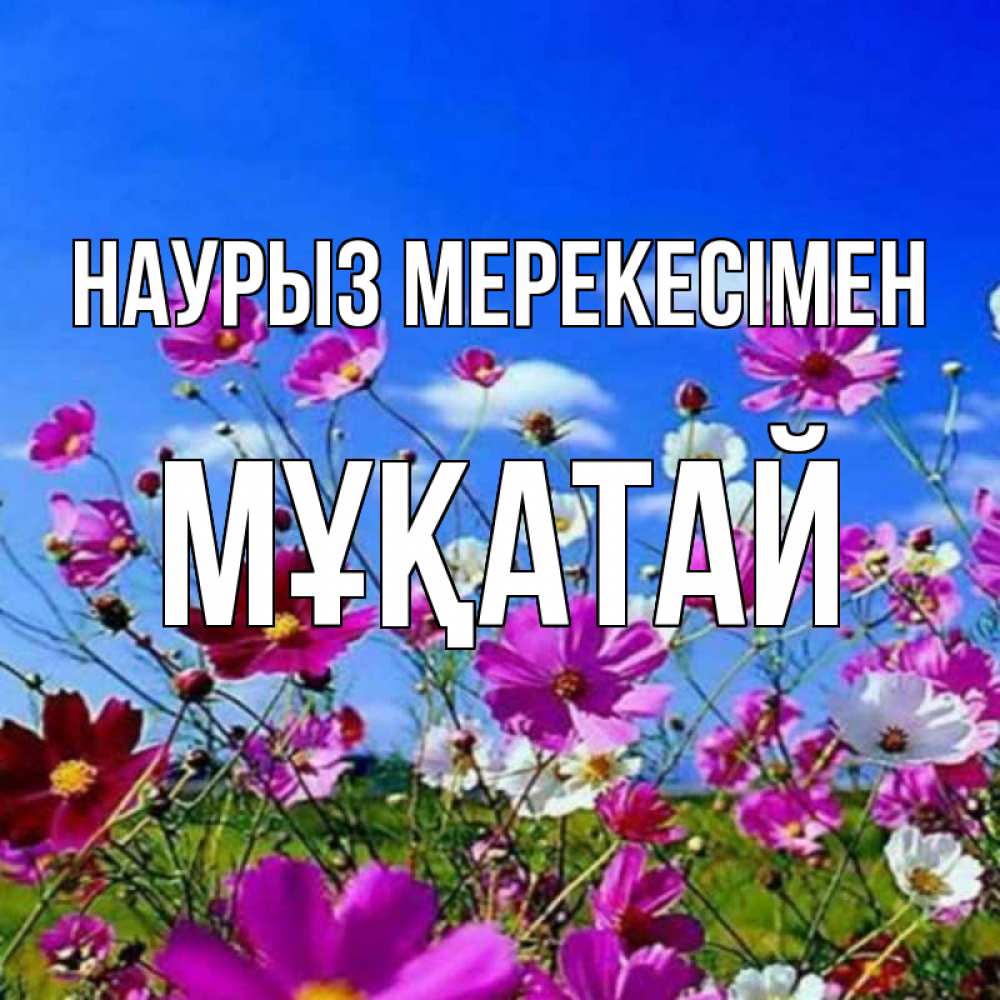 Күн сайын ашық хат с именем, Мұқатай Наурыз мерекесімен цветы Онлайн тегін жүктеп алу тілектері бар керемет карта 