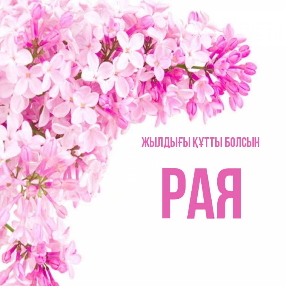 Күн сайын ашық хат с именем, Рая Жылдығы құтты болсын Сирень на белом фоне Онлайн тегін жүктеп алу тілектері бар керемет карта 