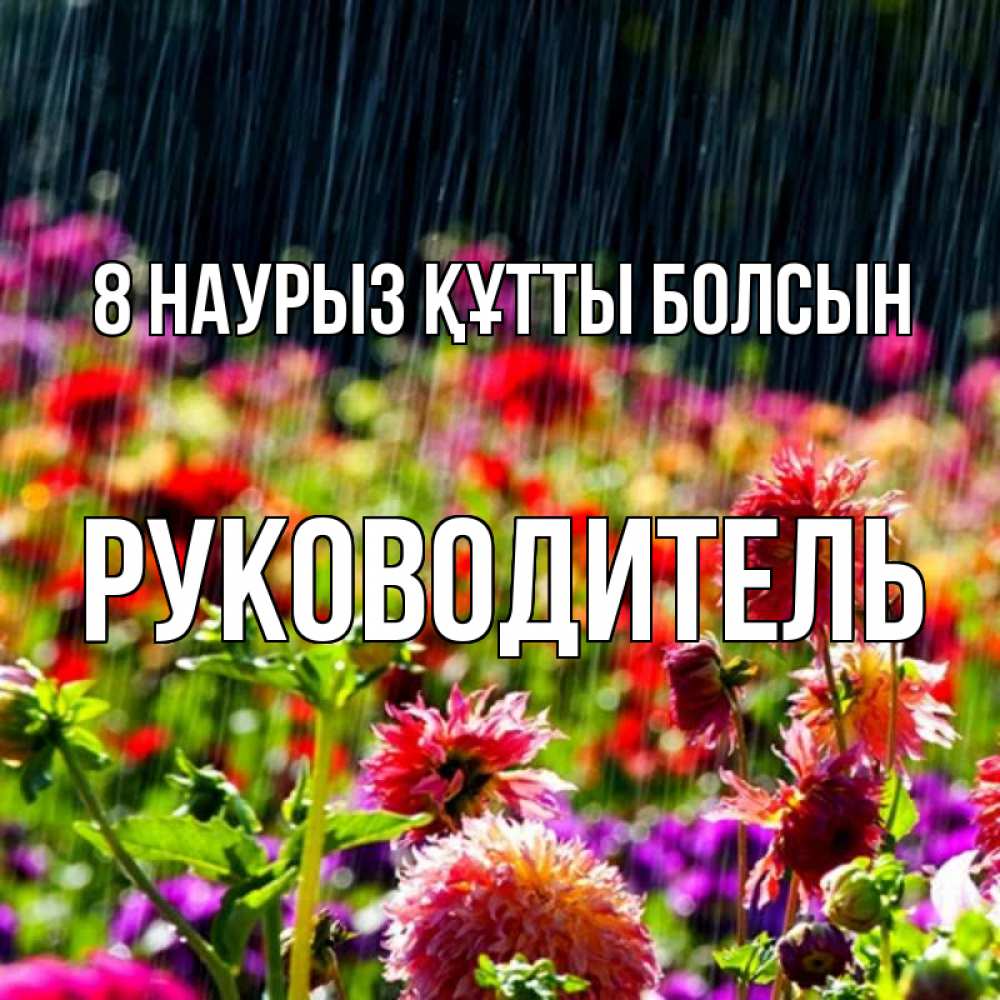 Күн сайын ашық хат с именем, Руководитель 8 наурыз құтты болсын цветы под дождиком к международному женскому дню Онлайн тегін жүктеп алу тілектері бар керемет карта 