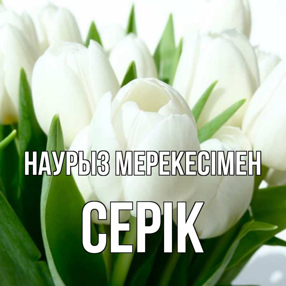 Күн сайын ашық хат с именем, СЕРІК Наурыз мерекесімен цветы Онлайн тегін жүктеп алу тілектері бар керемет карта 