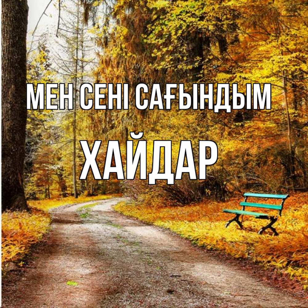 Күн сайын ашық хат с именем, ХАЙДАР Мен сені сағындым зеленая лавочка и осенний лес Онлайн тегін жүктеп алу тілектері бар керемет карта 