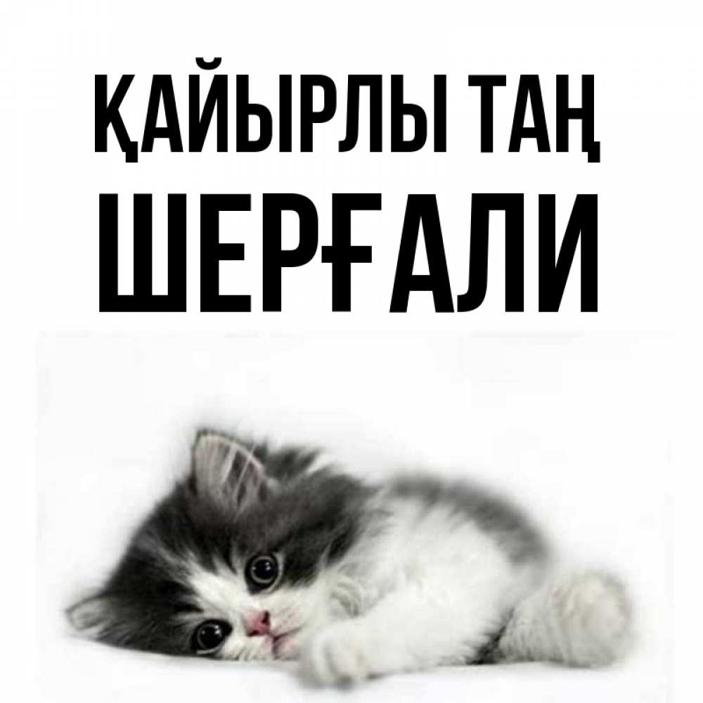 Күн сайын ашық хат с именем, ШЕРҒАЛИ Қайырлы таң кот лапки Онлайн тегін жүктеп алу тілектері бар керемет карта 