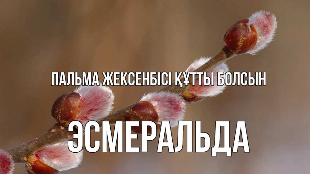 Күн сайын ашық хат с именем, Эсмеральда Пальма жексенбісі құтты болсын верба Онлайн тегін жүктеп алу тілектері бар керемет карта 