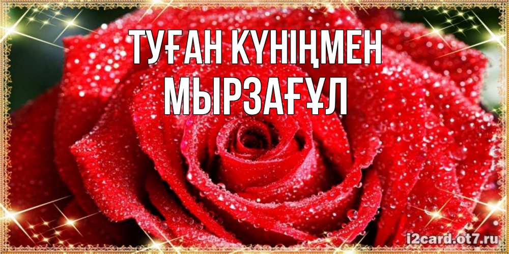 Күн сайын ашық хат с именем, Мырзағұл Туған күніңмен роса и роза. открытка с красивой розой Онлайн тегін жүктеп алу тілектері бар керемет карта 