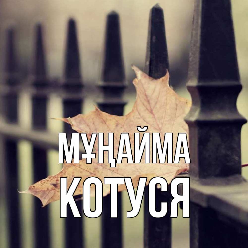 Күн сайын ашық хат с именем, Котуся Мұңайма лист клена Онлайн тегін жүктеп алу тілектері бар керемет карта 