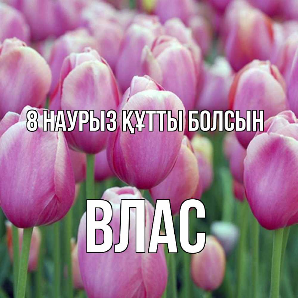 Күн сайын ашық хат с именем, Влас 8 наурыз құтты болсын на международный женский день 3 Онлайн тегін жүктеп алу тілектері бар керемет карта 