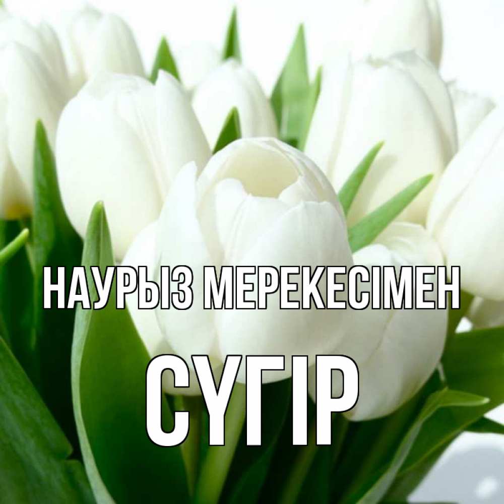 Күн сайын ашық хат с именем, СҮГІР Наурыз мерекесімен цветы Онлайн тегін жүктеп алу тілектері бар керемет карта 