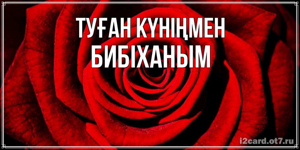 Күн сайын ашық хат с именем, БИБІХАНЫМ Туған күніңмен алая роза Онлайн тегін жүктеп алу тілектері бар керемет карта 