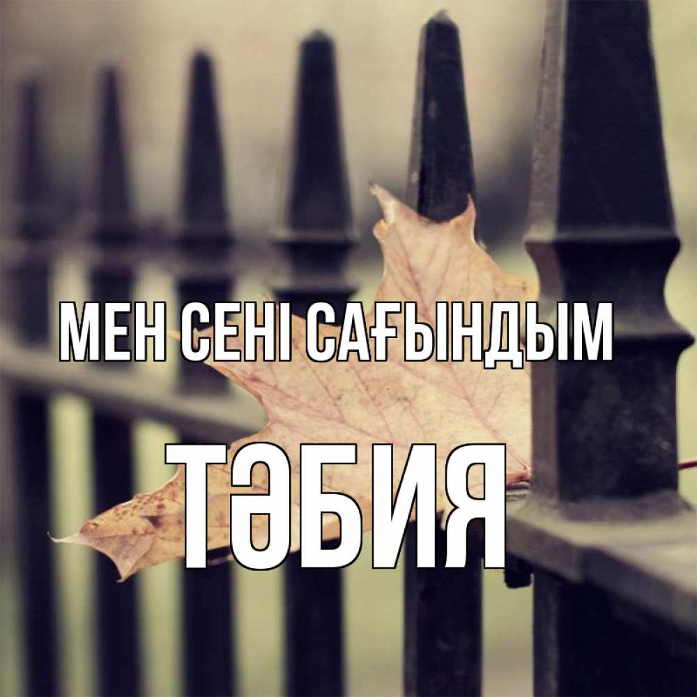 Күн сайын ашық хат с именем, ТӘБИЯ Мен сені сағындым очень скучно Онлайн тегін жүктеп алу тілектері бар керемет карта 