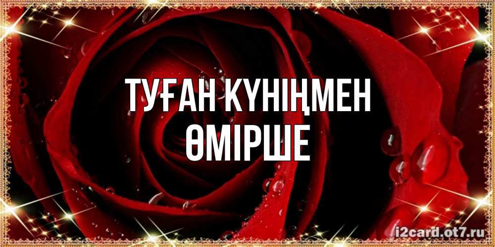 Күн сайын ашық хат с именем, ӨМІРШЕ Туған күніңмен цветок в росе на день рождения Онлайн тегін жүктеп алу тілектері бар керемет карта 
