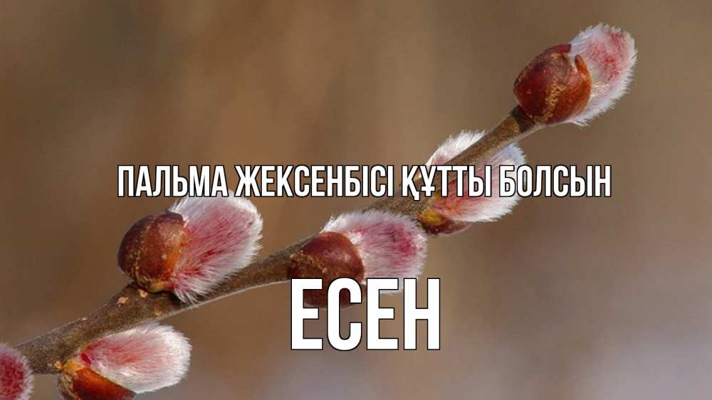 Картинка Пальма жексенбісі құтты болсын, Есен