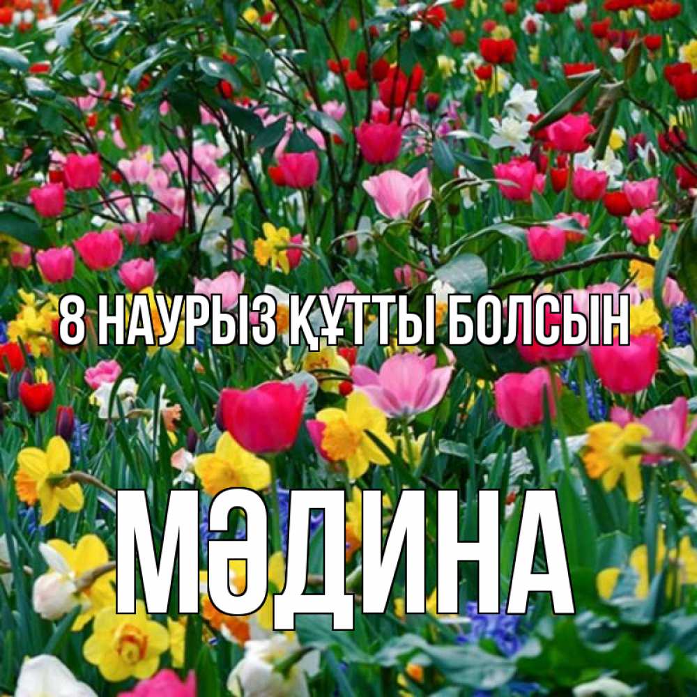 Күн сайын ашық хат с именем, МӘДИНА 8 наурыз құтты болсын с международным женским днем поздравления для женщины Онлайн тегін жүктеп алу тілектері бар керемет карта 