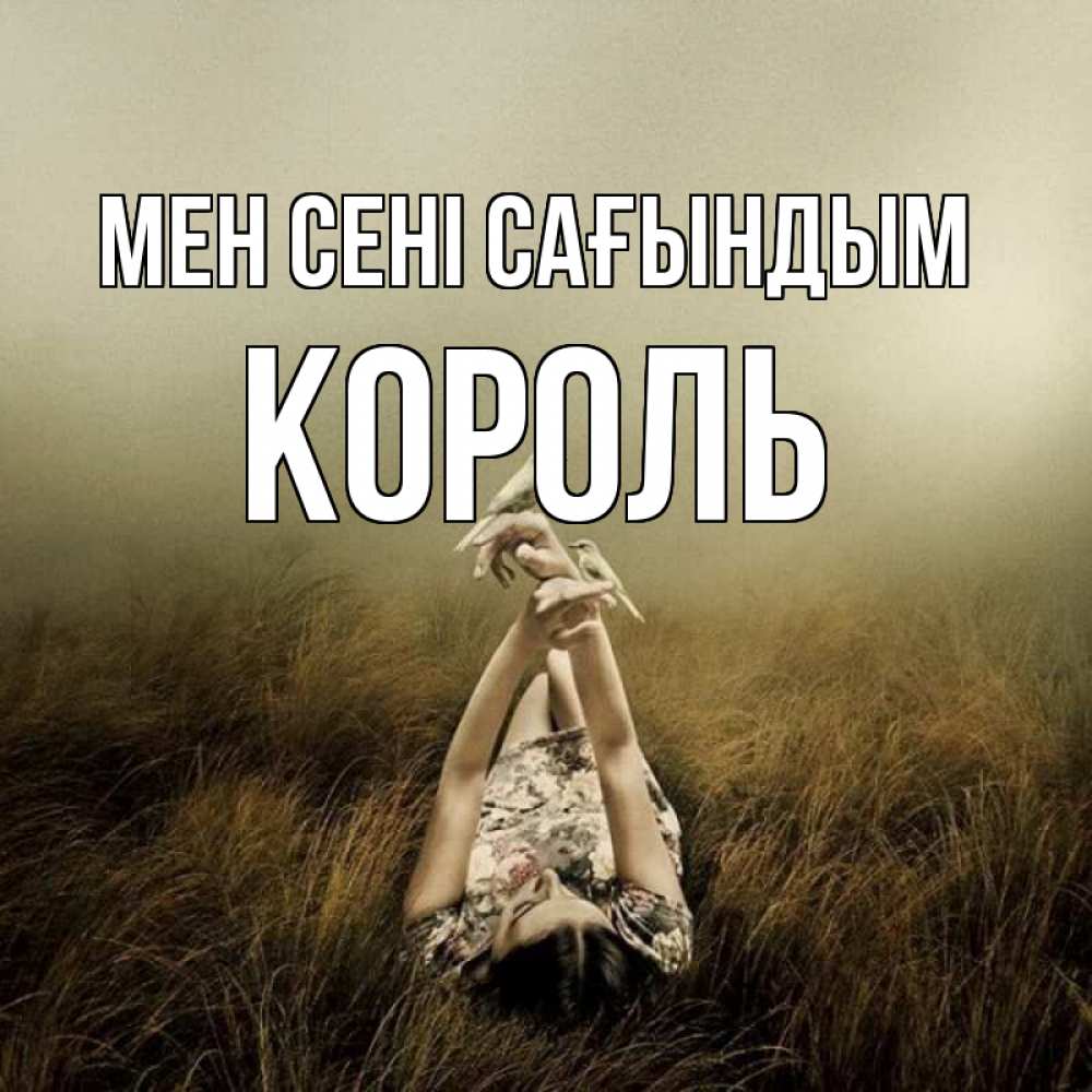 Күн сайын ашық хат с именем, Король Мен сені сағындым девушка с голубями Онлайн тегін жүктеп алу тілектері бар керемет карта 