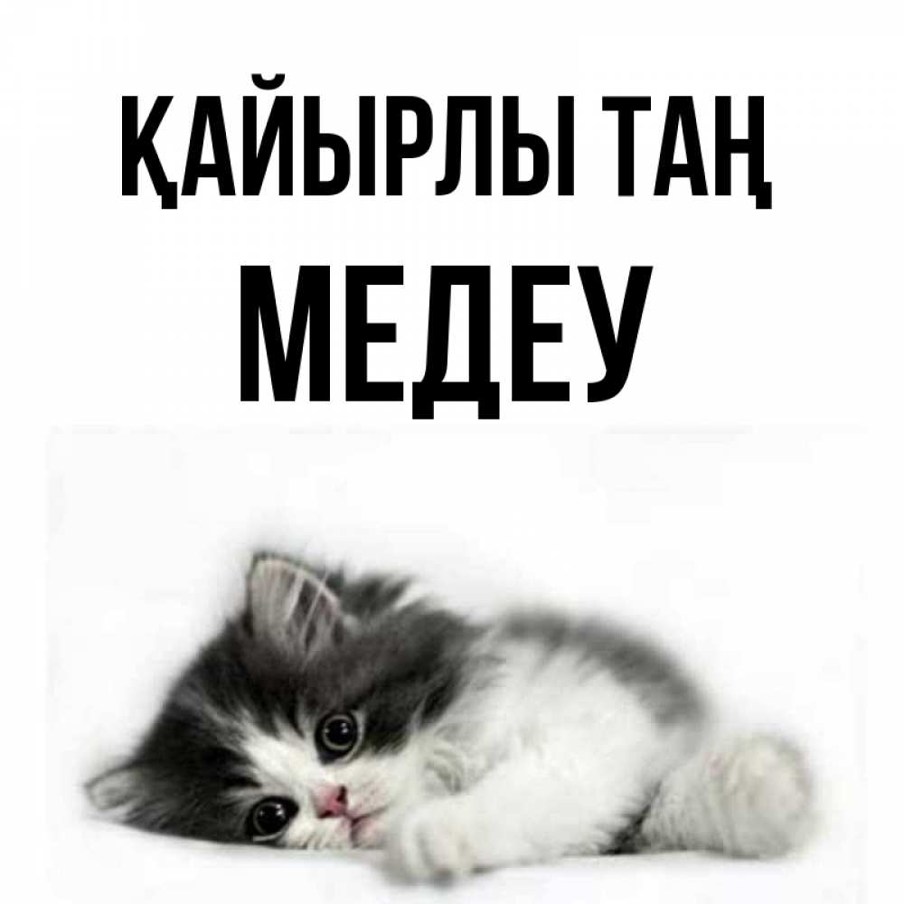 Күн сайын ашық хат с именем, МЕДЕУ Қайырлы таң кот лапки Онлайн тегін жүктеп алу тілектері бар керемет карта 