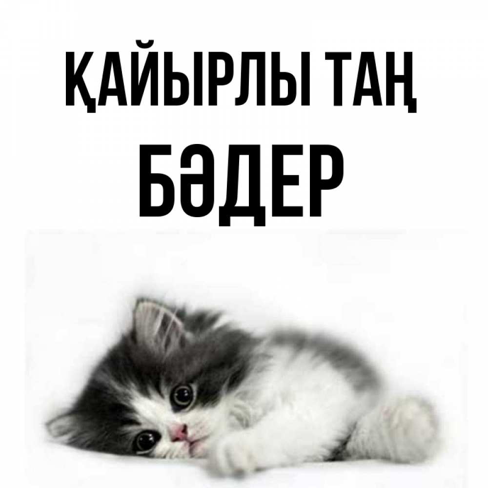 Күн сайын ашық хат с именем, БӘДЕР Қайырлы таң кот лапки Онлайн тегін жүктеп алу тілектері бар керемет карта 