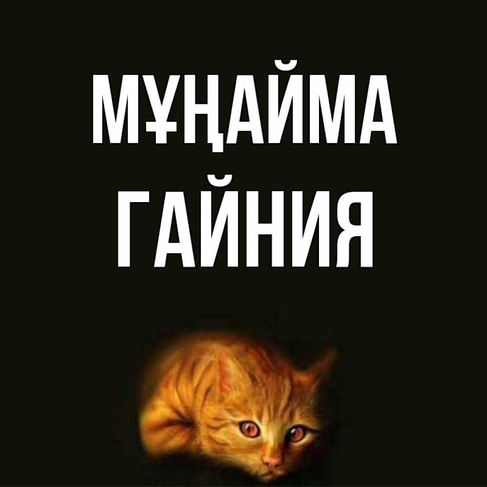 Күн сайын ашық хат с именем, ГАЙНИЯ Мұңайма лежащий кот в темноте Онлайн тегін жүктеп алу тілектері бар керемет карта 