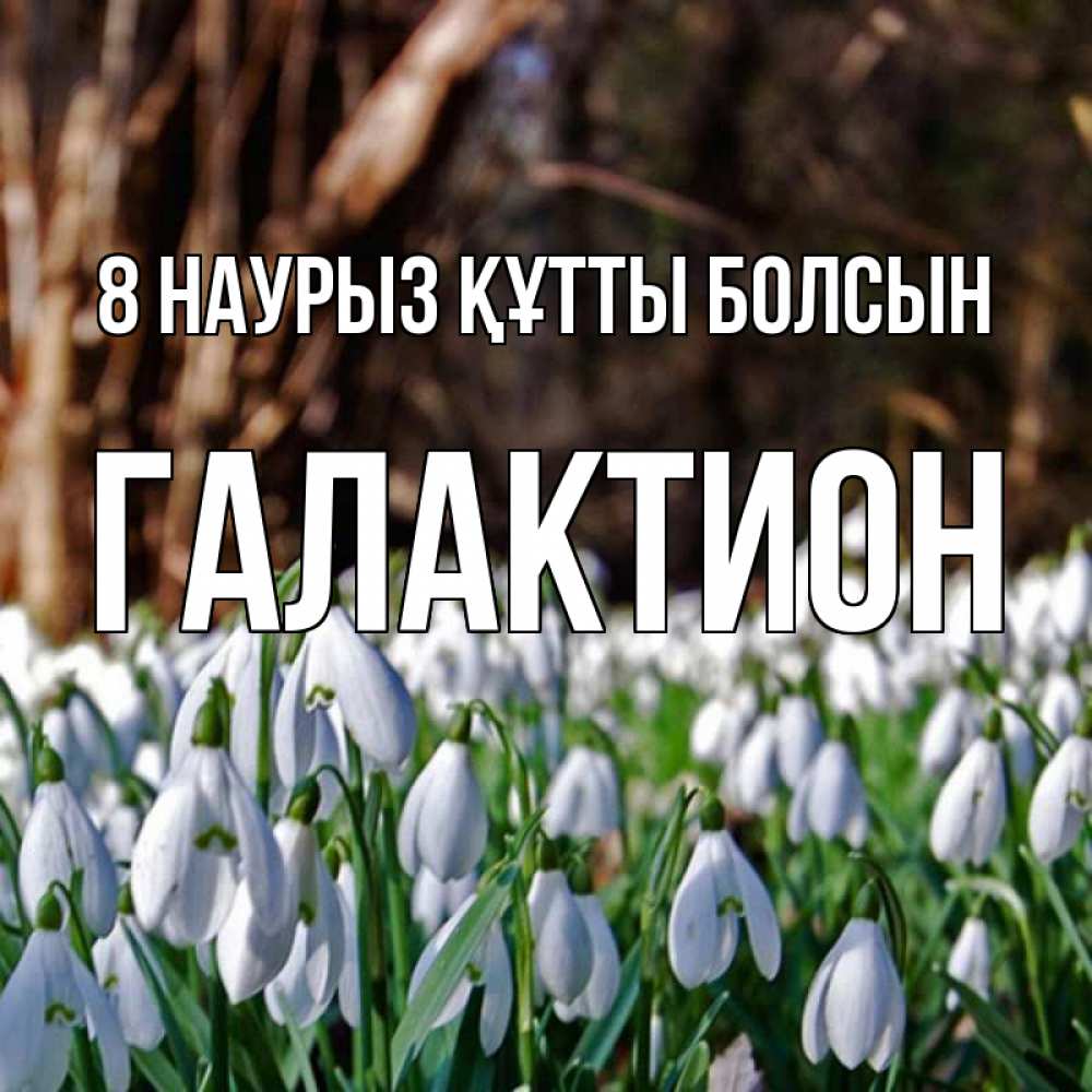 Күн сайын ашық хат с именем, Галактион 8 наурыз құтты болсын с подснежниками 1 Онлайн тегін жүктеп алу тілектері бар керемет карта 