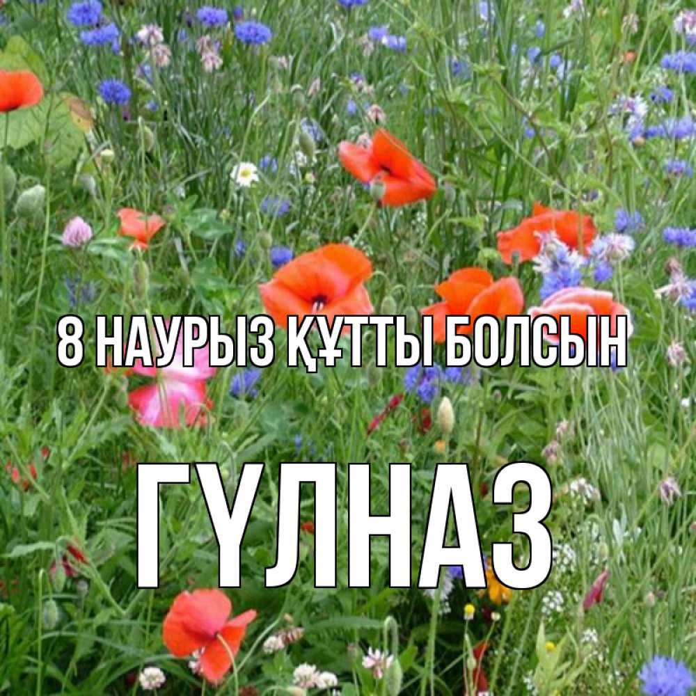 Күн сайын ашық хат с именем, ГҮЛНАЗ 8 наурыз құтты болсын международный женский день 4 Онлайн тегін жүктеп алу тілектері бар керемет карта 
