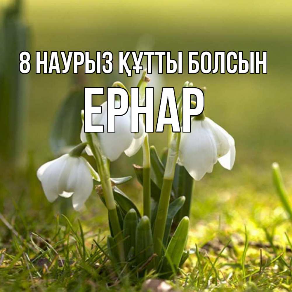 Күн сайын ашық хат с именем, Ернар 8 наурыз құтты болсын ранние цветы 2 Онлайн тегін жүктеп алу тілектері бар керемет карта 