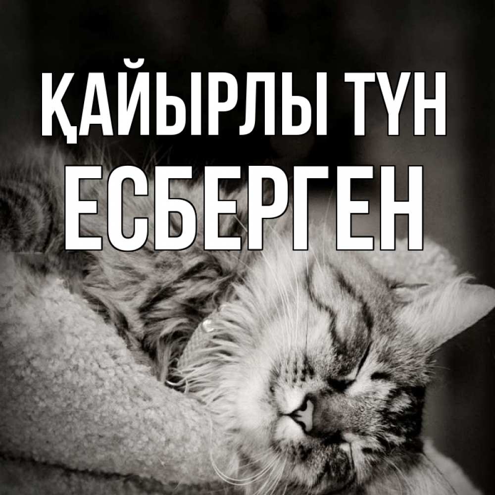 Күн сайын ашық хат с именем, Есберген Қайырлы түн котярик пушистый Онлайн тегін жүктеп алу тілектері бар керемет карта 