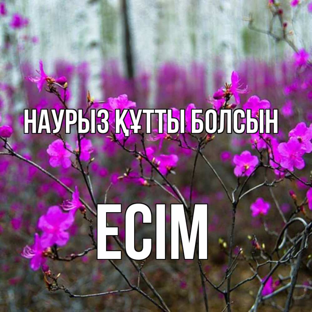 Күн сайын ашық хат с именем, Есім Наурыз құтты болсын дикие цветы Онлайн тегін жүктеп алу тілектері бар керемет карта 