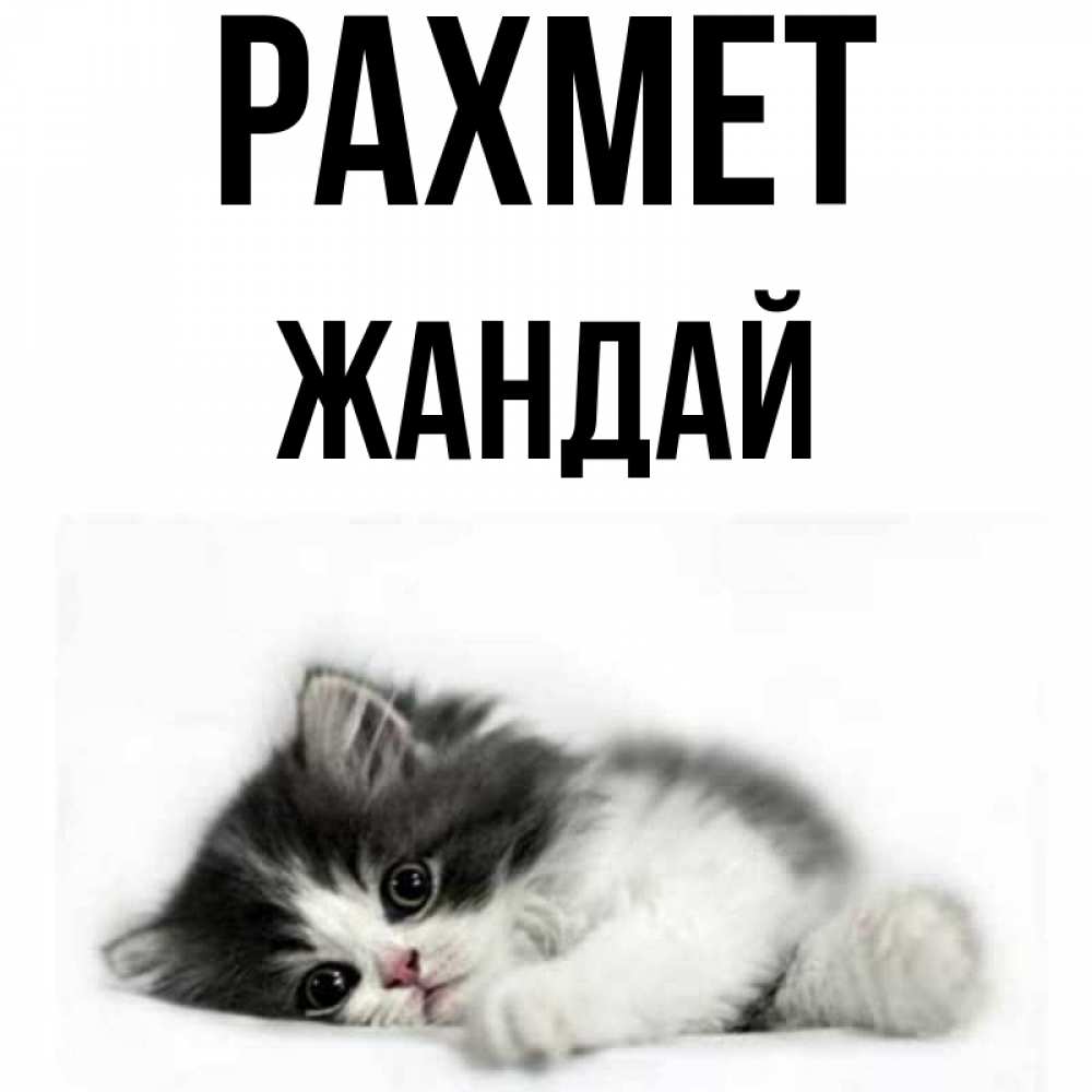 Күн сайын ашық хат с именем, Жандай рахмет черный и белый кот Онлайн тегін жүктеп алу тілектері бар керемет карта 