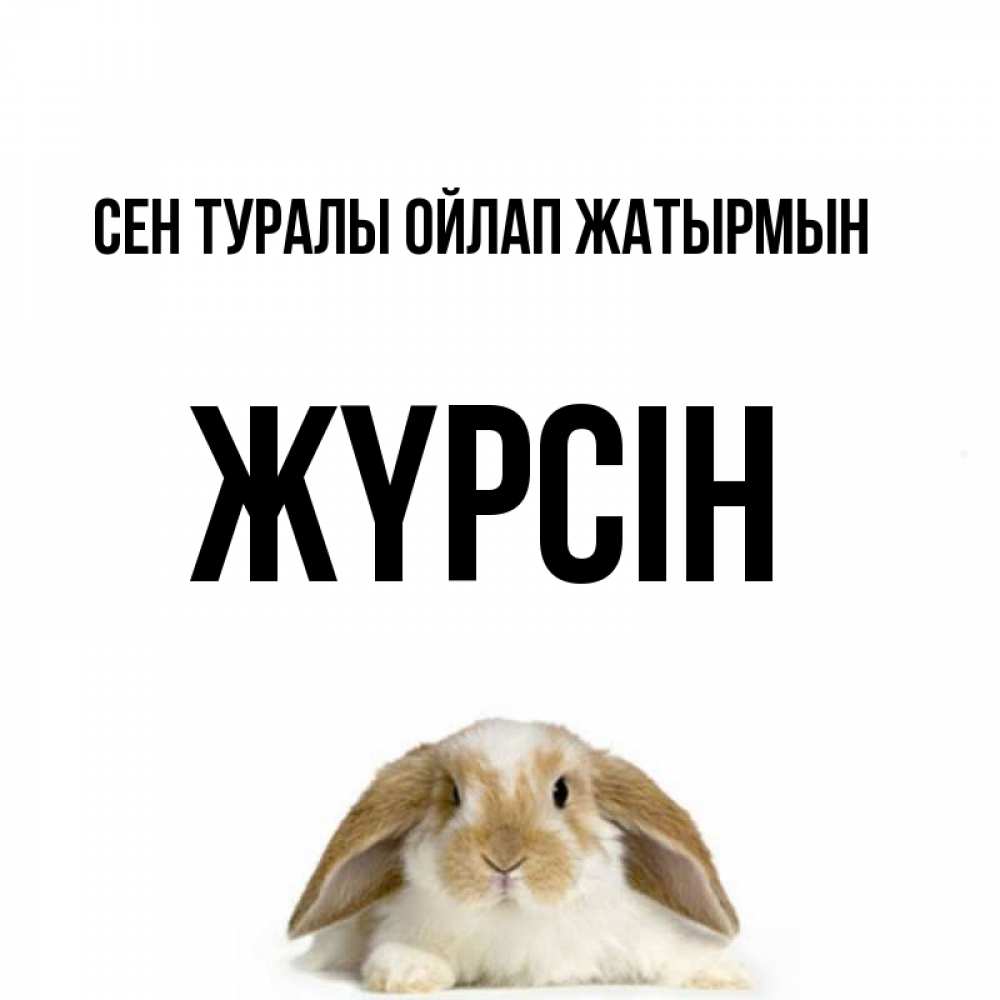 Күн сайын ашық хат с именем, Жүрсін Сен туралы ойлап жатырмын подписать своими руками онлайн Онлайн тегін жүктеп алу тілектері бар керемет карта 