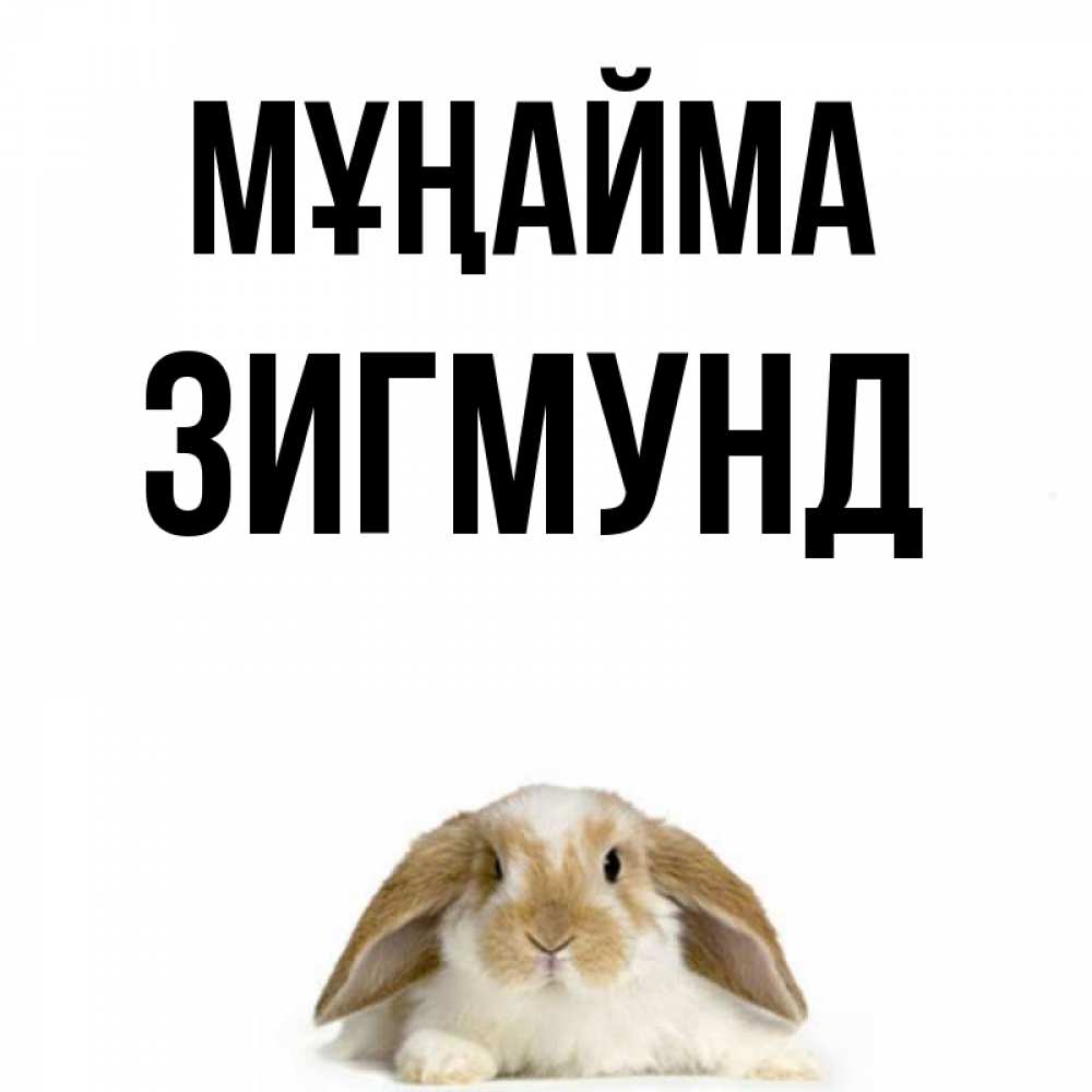 Күн сайын ашық хат с именем, Зигмунд Мұңайма коричнево белый заяц с большими ушками Онлайн тегін жүктеп алу тілектері бар керемет карта 