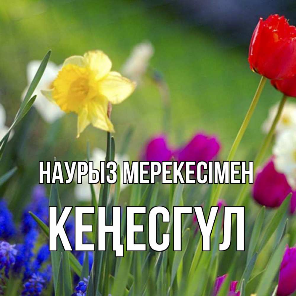 Күн сайын ашық хат с именем, КЕҢЕСГҮЛ Наурыз мерекесімен праздник весны наурыз 3 Онлайн тегін жүктеп алу тілектері бар керемет карта 
