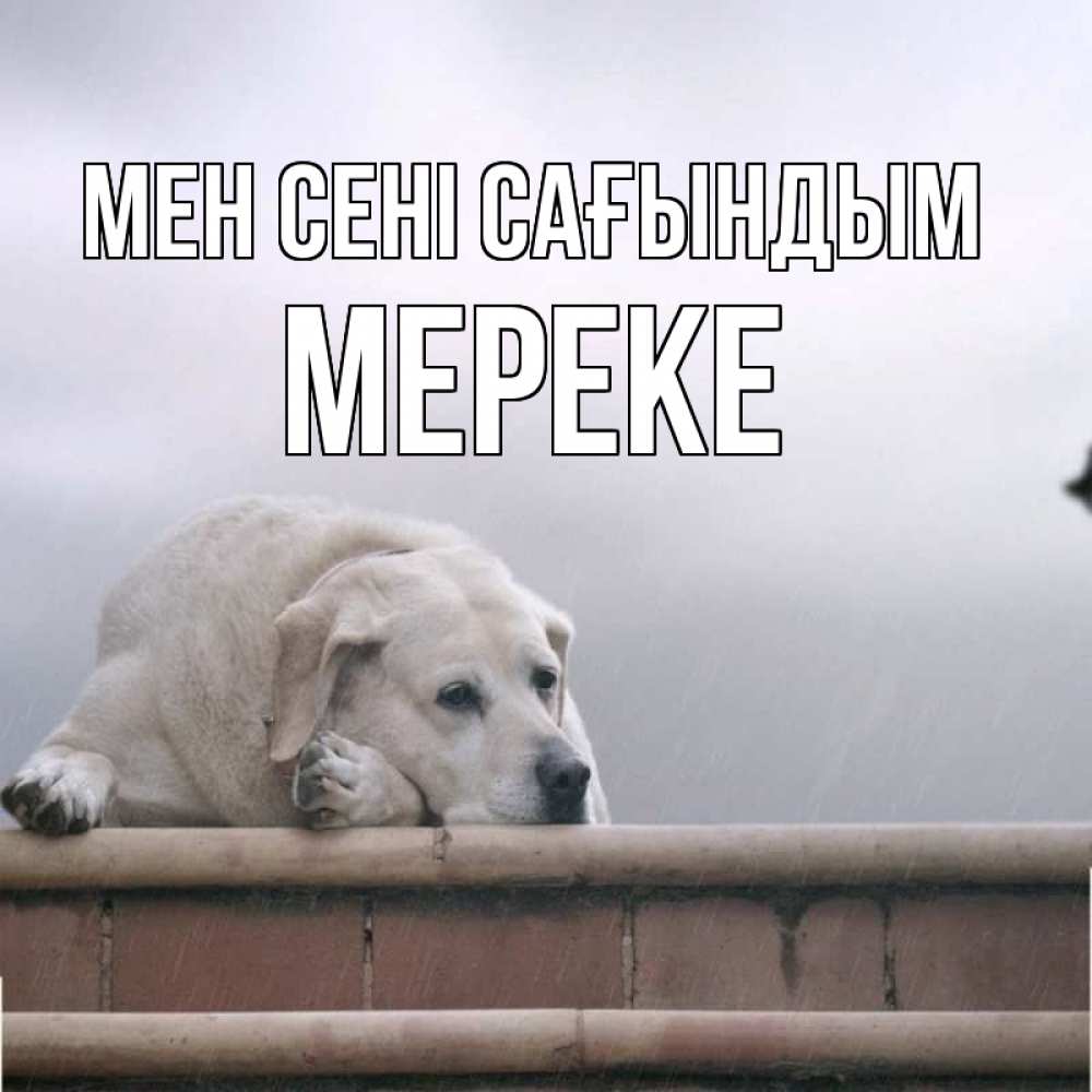 Күн сайын ашық хат с именем, МЕРЕКЕ Мен сені сағындым ждет Онлайн тегін жүктеп алу тілектері бар керемет карта 