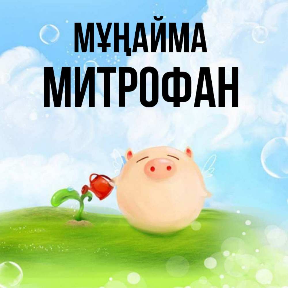 Күн сайын ашық хат с именем, Митрофан Мұңайма поливает цветок порося Онлайн тегін жүктеп алу тілектері бар керемет карта 