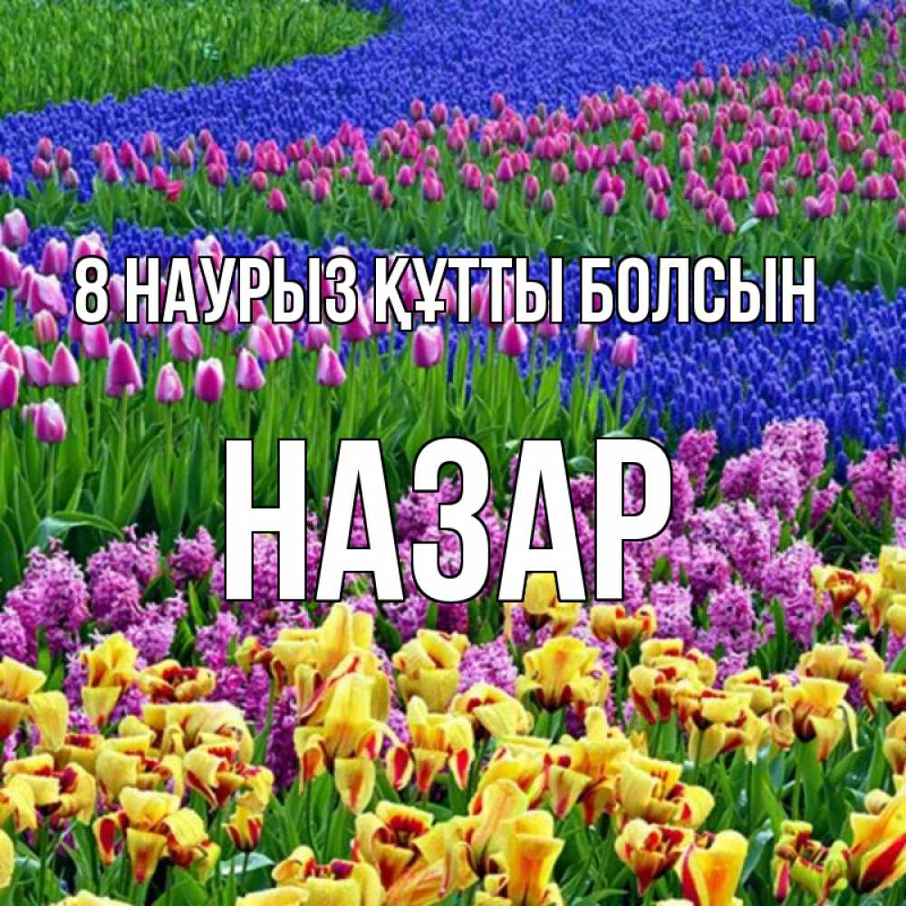 Күн сайын ашық хат с именем, НАЗАР 8 наурыз құтты болсын цветы Онлайн тегін жүктеп алу тілектері бар керемет карта 