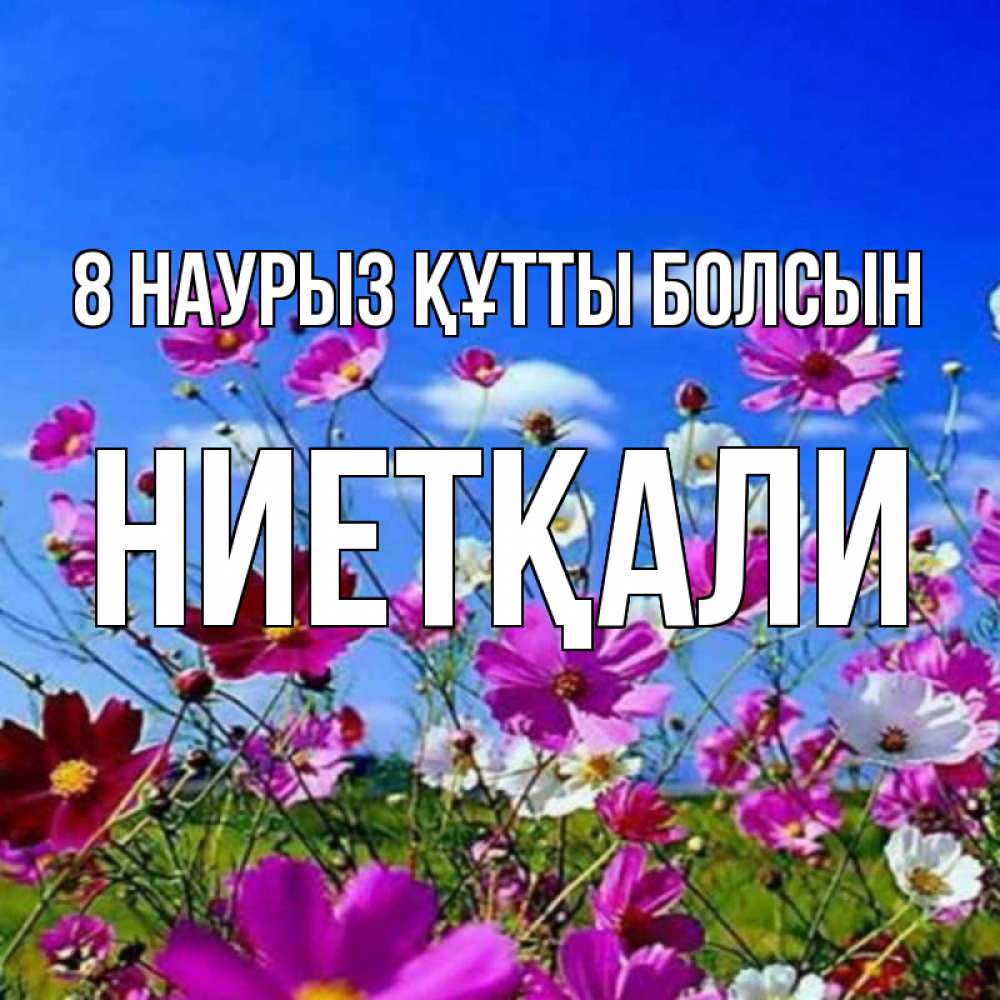 Күн сайын ашық хат с именем, НИЕТҚАЛИ 8 наурыз құтты болсын цветы Онлайн тегін жүктеп алу тілектері бар керемет карта 