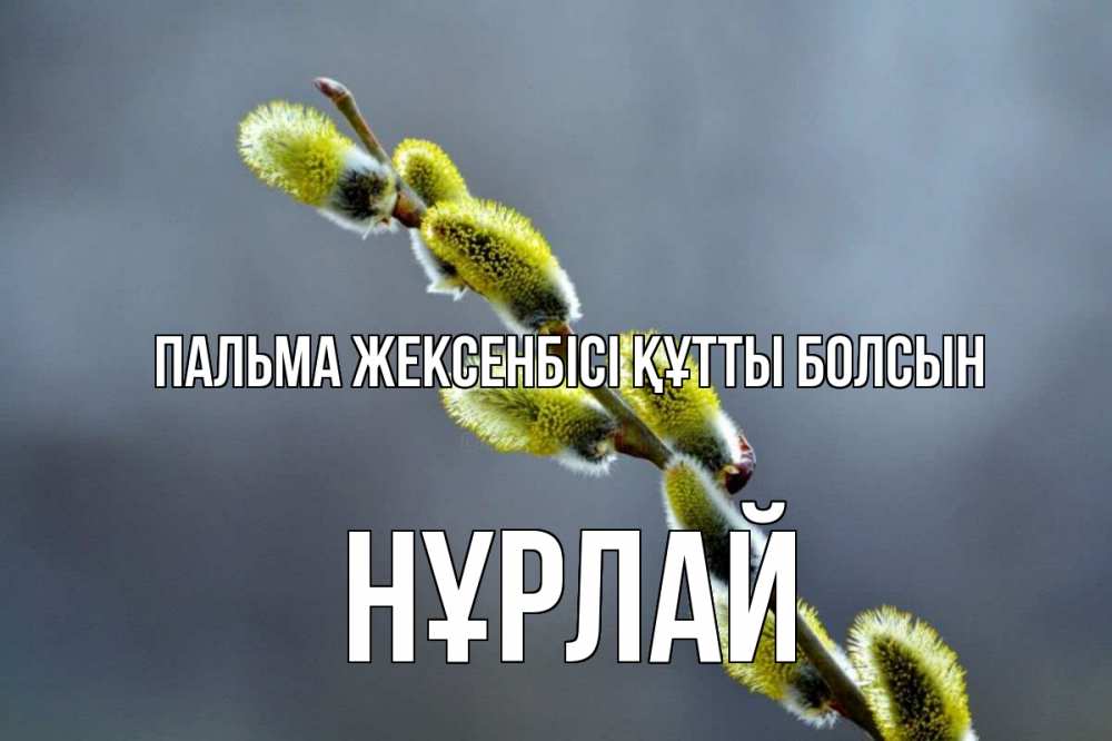 Күн сайын ашық хат с именем, НҰРЛАЙ Пальма жексенбісі құтты болсын верба Онлайн тегін жүктеп алу тілектері бар керемет карта 