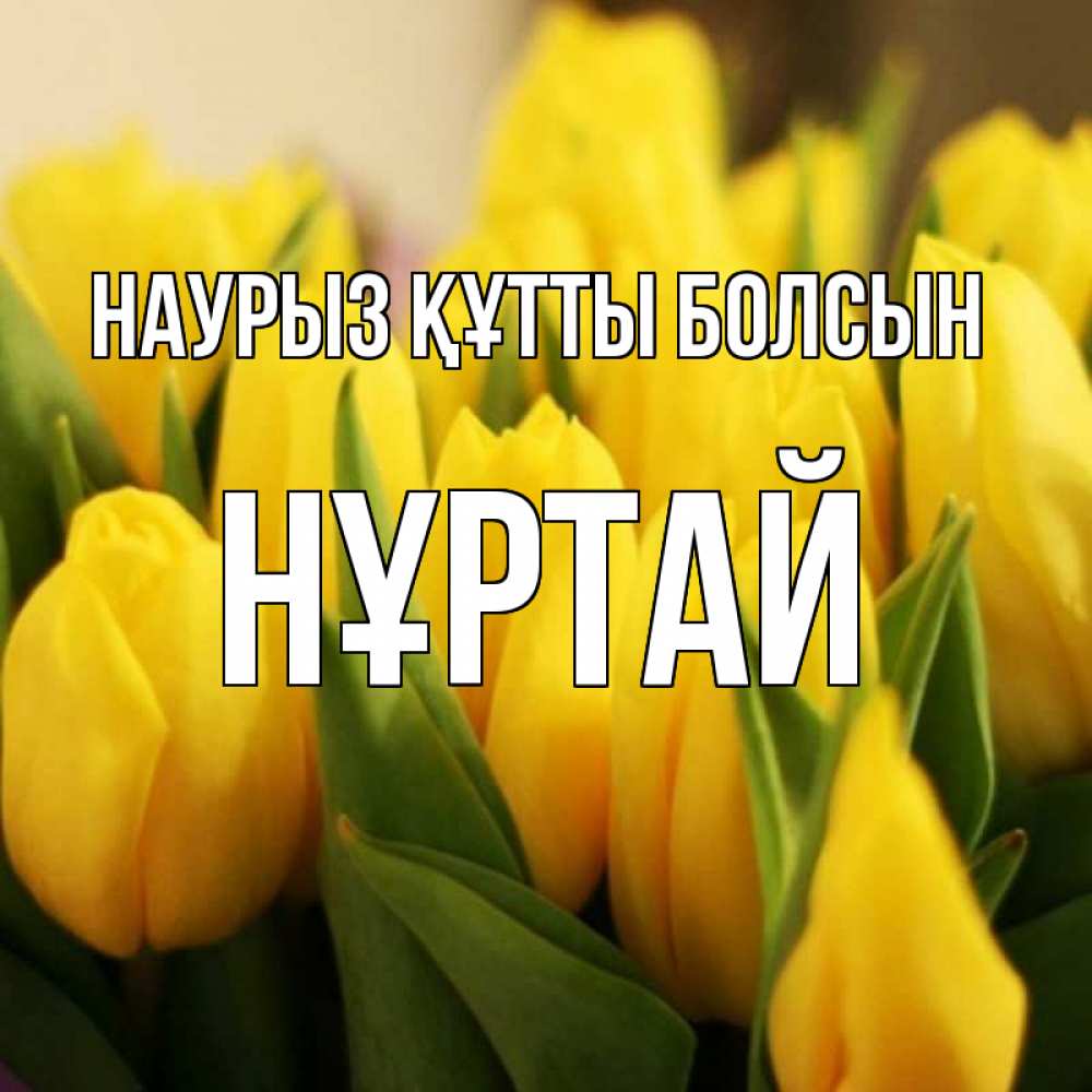 Күн сайын ашық хат с именем, Нұртай Наурыз құтты болсын цветы Онлайн тегін жүктеп алу тілектері бар керемет карта 
