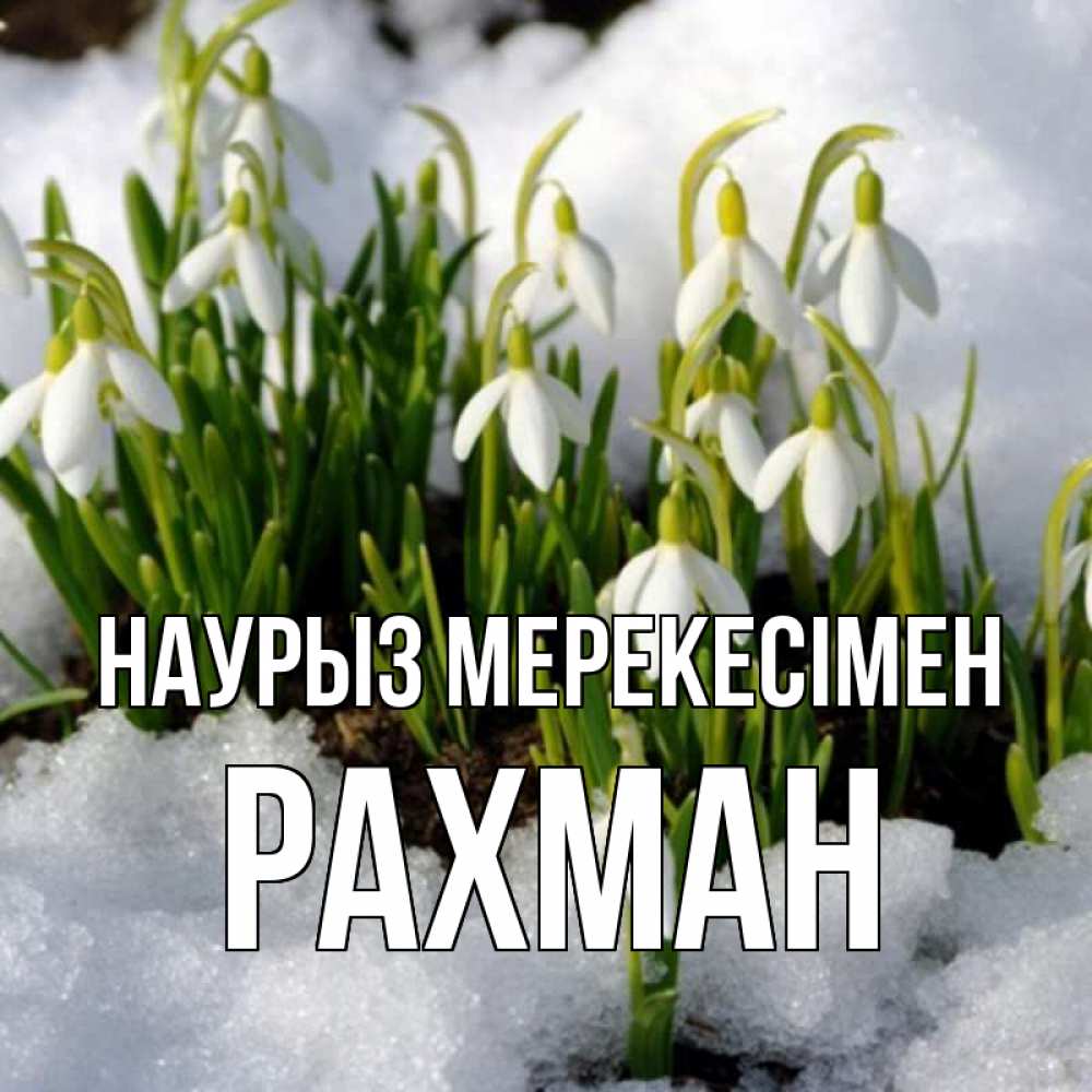 Күн сайын ашық хат с именем, РАХМАН Наурыз мерекесімен цветы весенние Онлайн тегін жүктеп алу тілектері бар керемет карта 
