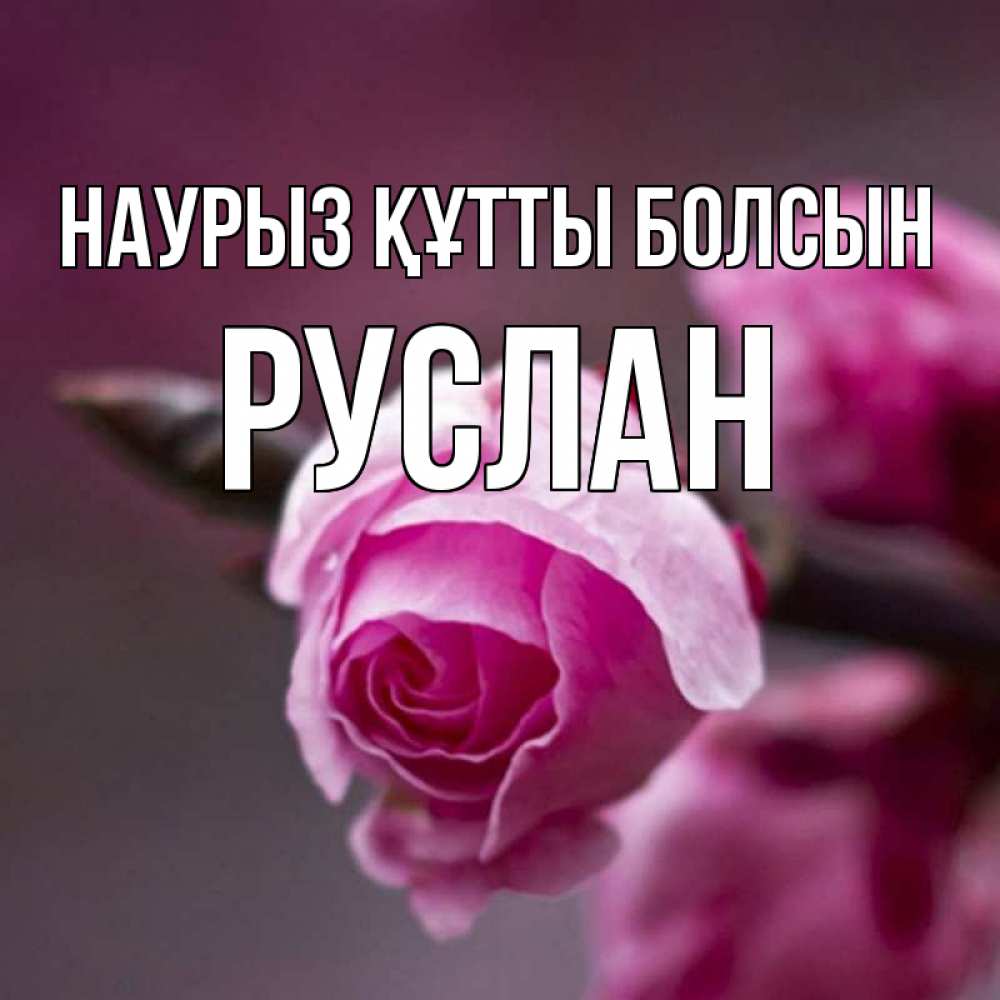 Күн сайын ашық хат с именем, РУСЛАН Наурыз құтты болсын весна Онлайн тегін жүктеп алу тілектері бар керемет карта 