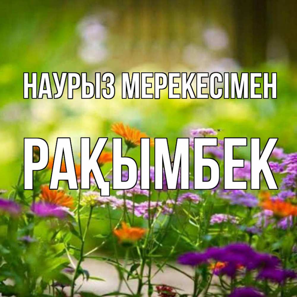 Күн сайын ашық хат с именем, Рақымбек Наурыз мерекесімен цветы Онлайн тегін жүктеп алу тілектері бар керемет карта 