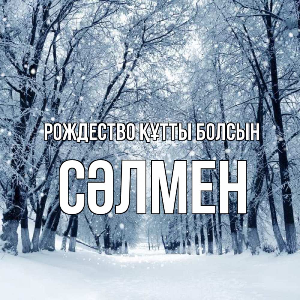 Күн сайын ашық хат с именем, СӘЛМЕН Рождество құтты болсын снег, лес, парк Онлайн тегін жүктеп алу тілектері бар керемет карта 