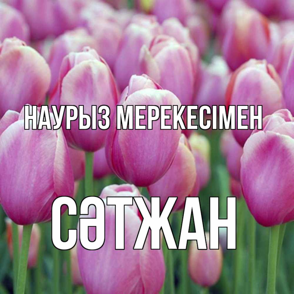 Күн сайын ашық хат с именем, СӘТЖАН Наурыз мерекесімен праздник весны наурыз 69 Онлайн тегін жүктеп алу тілектері бар керемет карта 