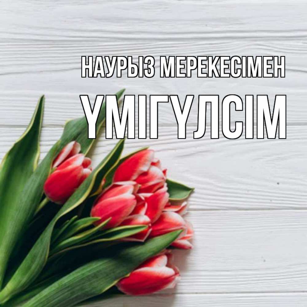 Күн сайын ашық хат с именем, ҮМІГҮЛСІМ Наурыз мерекесімен весна 2 Онлайн тегін жүктеп алу тілектері бар керемет карта 