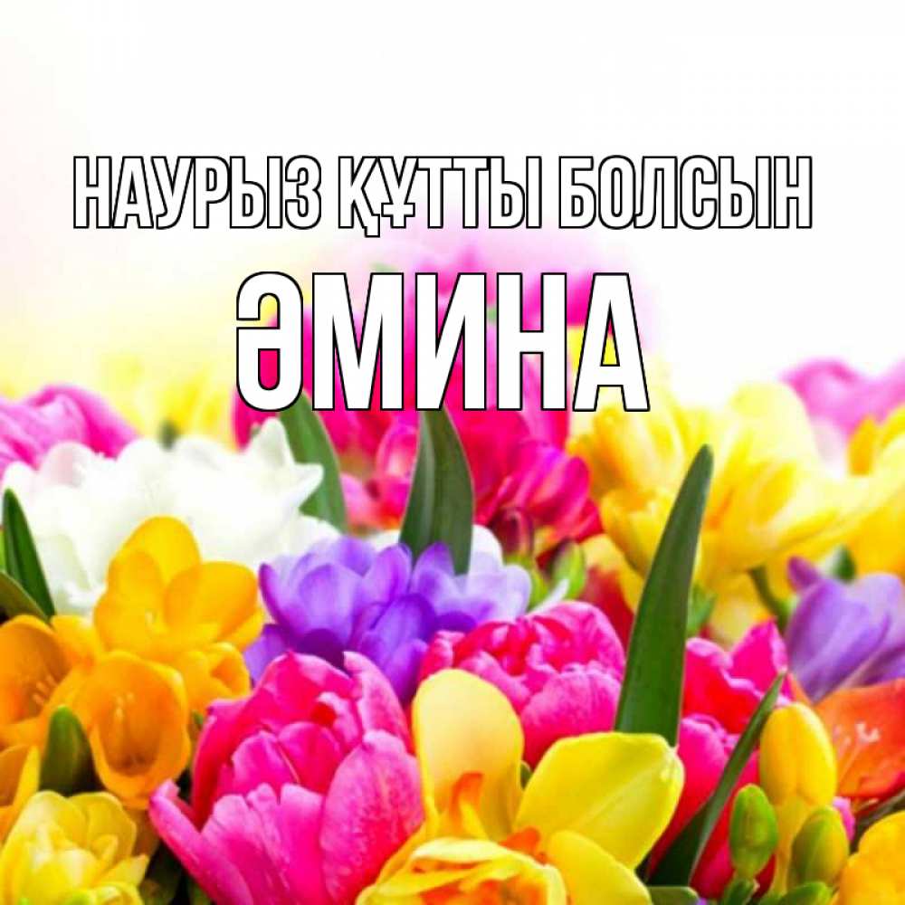 Күн сайын ашық хат с именем, ӘМИНА Наурыз құтты болсын тюльпаны Онлайн тегін жүктеп алу тілектері бар керемет карта 