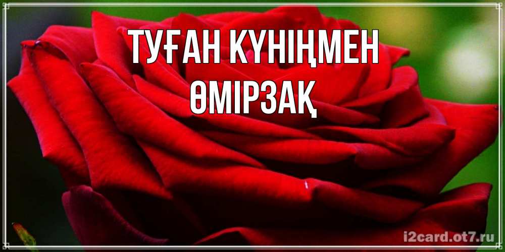 Күн сайын ашық хат с именем, ӨМІРЗАҚ Туған күніңмен розочка очень красивая Онлайн тегін жүктеп алу тілектері бар керемет карта 