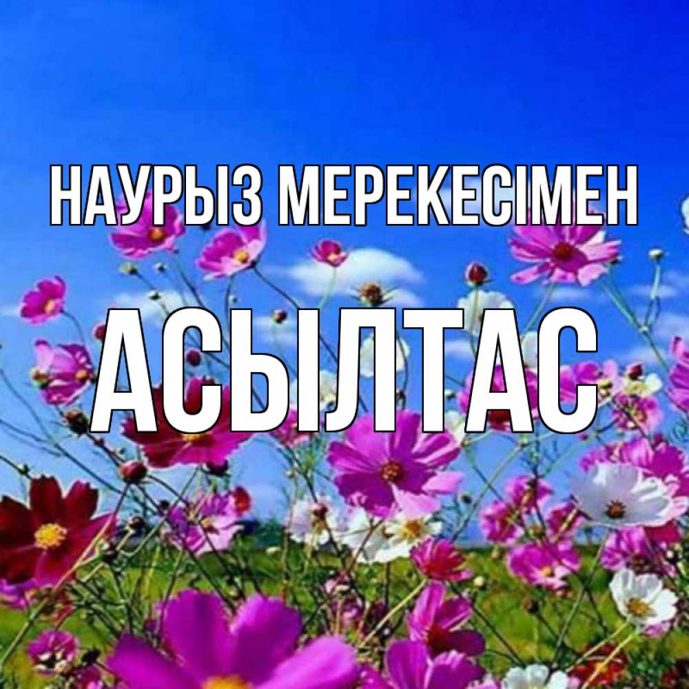 Күн сайын ашық хат с именем, АСЫЛТАС Наурыз мерекесімен цветы Онлайн тегін жүктеп алу тілектері бар керемет карта 
