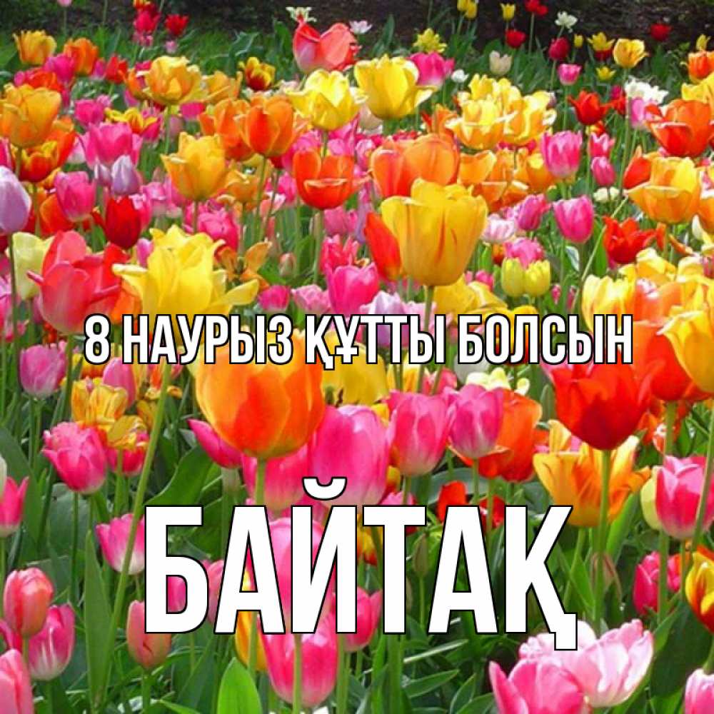 Күн сайын ашық хат с именем, Байтақ 8 наурыз құтты болсын на международный женский день Онлайн тегін жүктеп алу тілектері бар керемет карта 