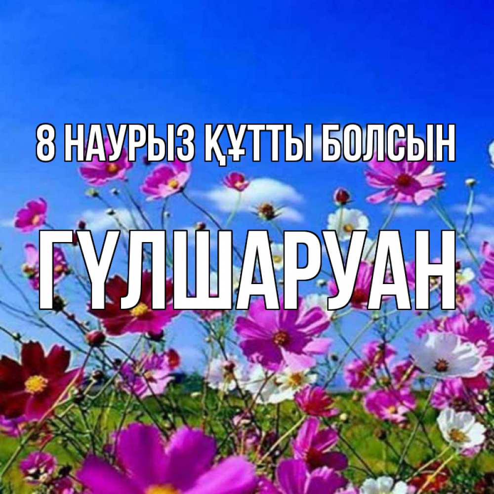 Күн сайын ашық хат с именем, ГҮЛШАРУАН 8 наурыз құтты болсын цветы Онлайн тегін жүктеп алу тілектері бар керемет карта 