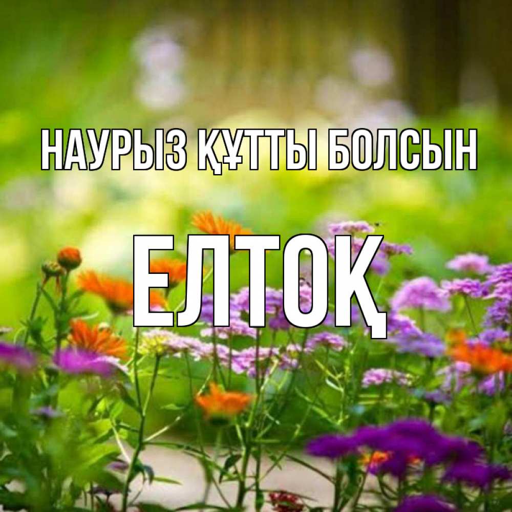 Күн сайын ашық хат с именем, Елтоқ Наурыз құтты болсын цветы Онлайн тегін жүктеп алу тілектері бар керемет карта 