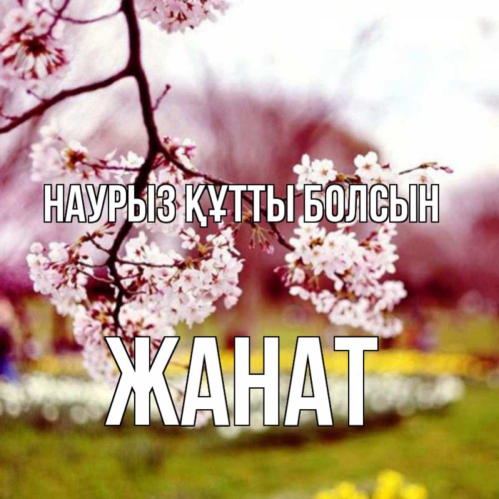 Күн сайын ашық хат с именем, Жанат Наурыз құтты болсын яблоня Онлайн тегін жүктеп алу тілектері бар керемет карта 