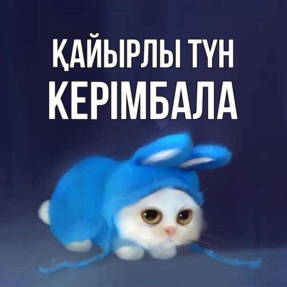Күн сайын ашық хат с именем, КЕРІМБАЛА Қайырлы түн кот в голубом костюме кролика с ушками Онлайн тегін жүктеп алу тілектері бар керемет карта 